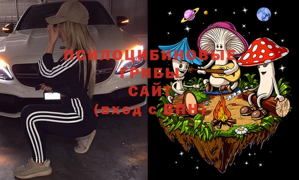 индика Заволжье