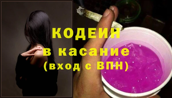 индика Заволжье