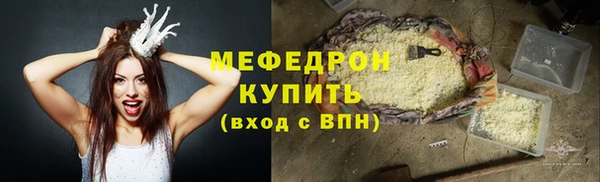 индика Заволжье