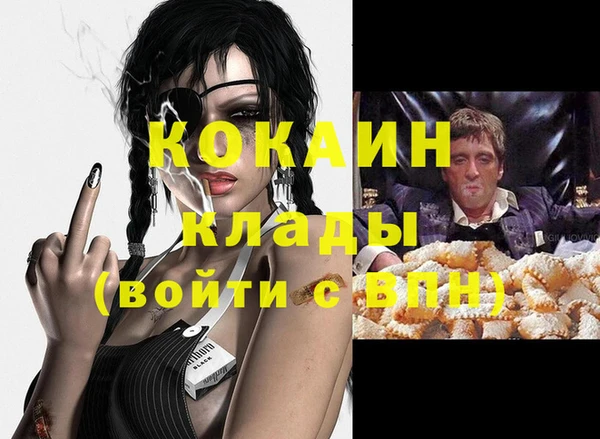 индика Заволжье