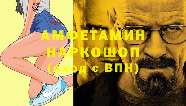 индика Заволжье