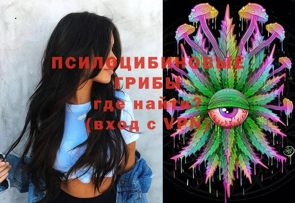 индика Заволжье