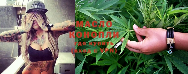 индика Заволжье