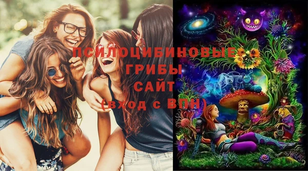 spice Заводоуковск
