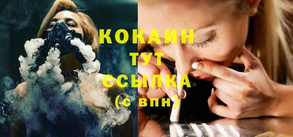 индика Заволжье