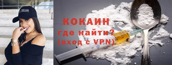 индика Заволжье
