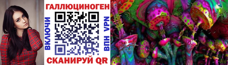 Купить  Крым  Галлюциногенные грибы Psilocybine cubensis 